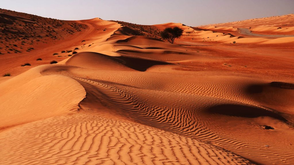 رحلات مغامرات في رمال وهيبة مع الكواسر