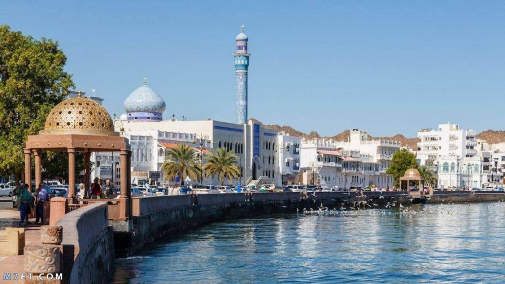 السفر من عُمان إلى المدينة